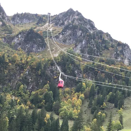 Chiemgauer * Siegsdorf